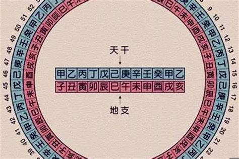 天干地支2024|今年是什么年天干地支 今年是什么年庚